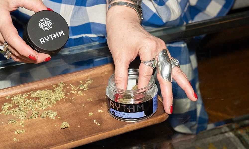 special 3338147 photo