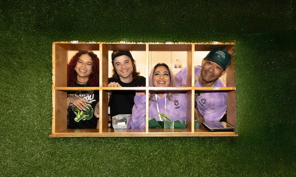 special 3330717 photo