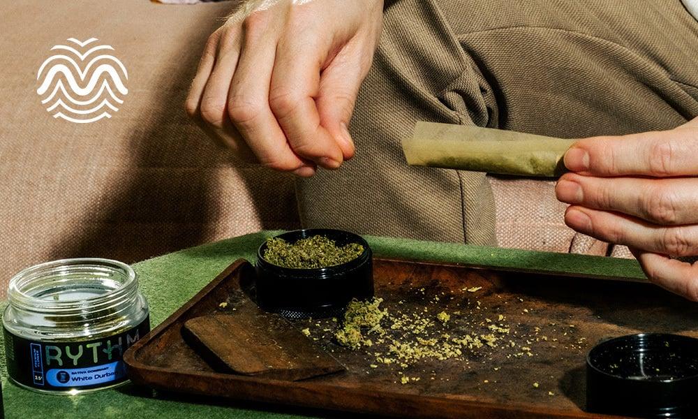 special 2172513 photo