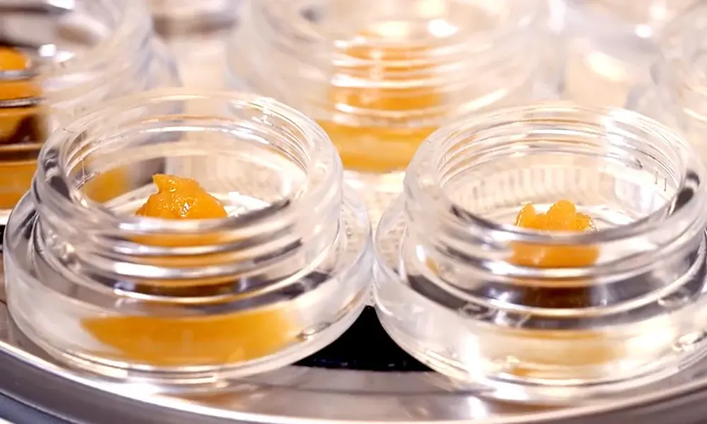 special 3308107 photo