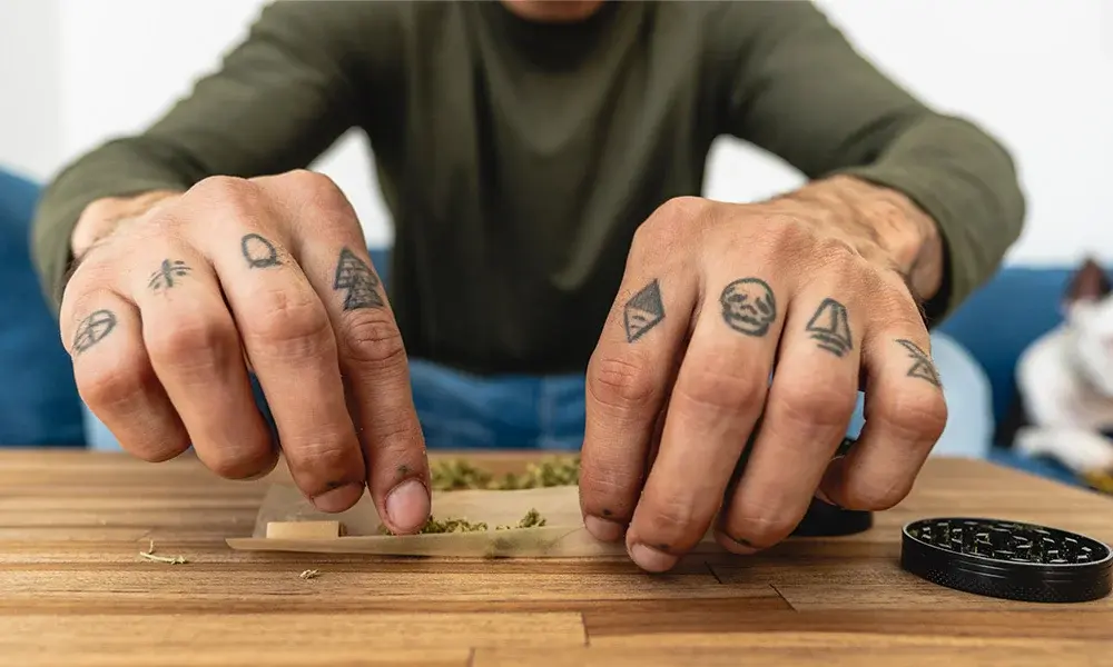 special 3105759 photo