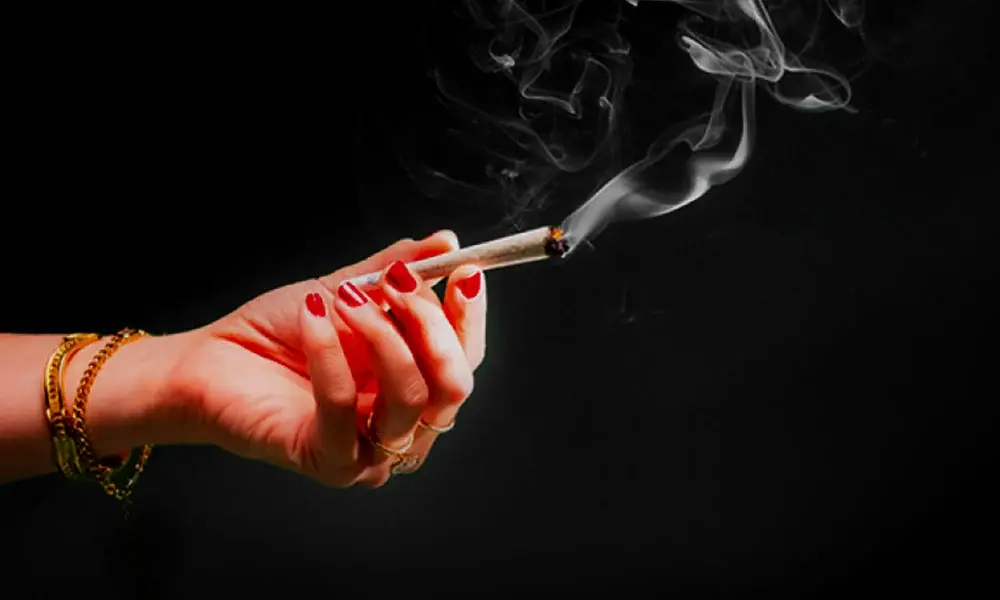 special 3293129 photo