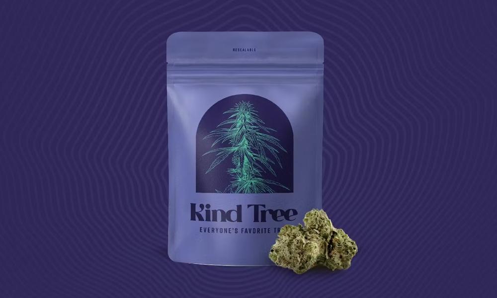 special 3314799 photo